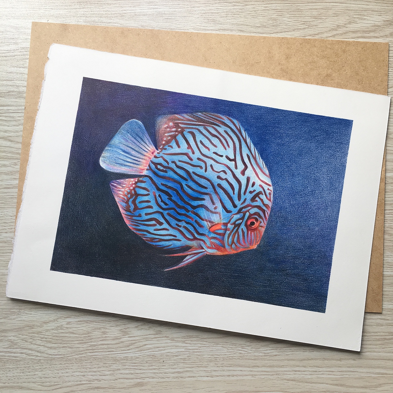 画一条鱼便爱上一条鱼（图ZMTA3ODA5MjM2） - 创作习作 - 站酷设计师_lelia原创素材 - 站酷ZCOOL