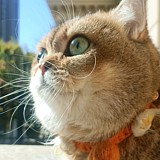 Cubey几里的头像