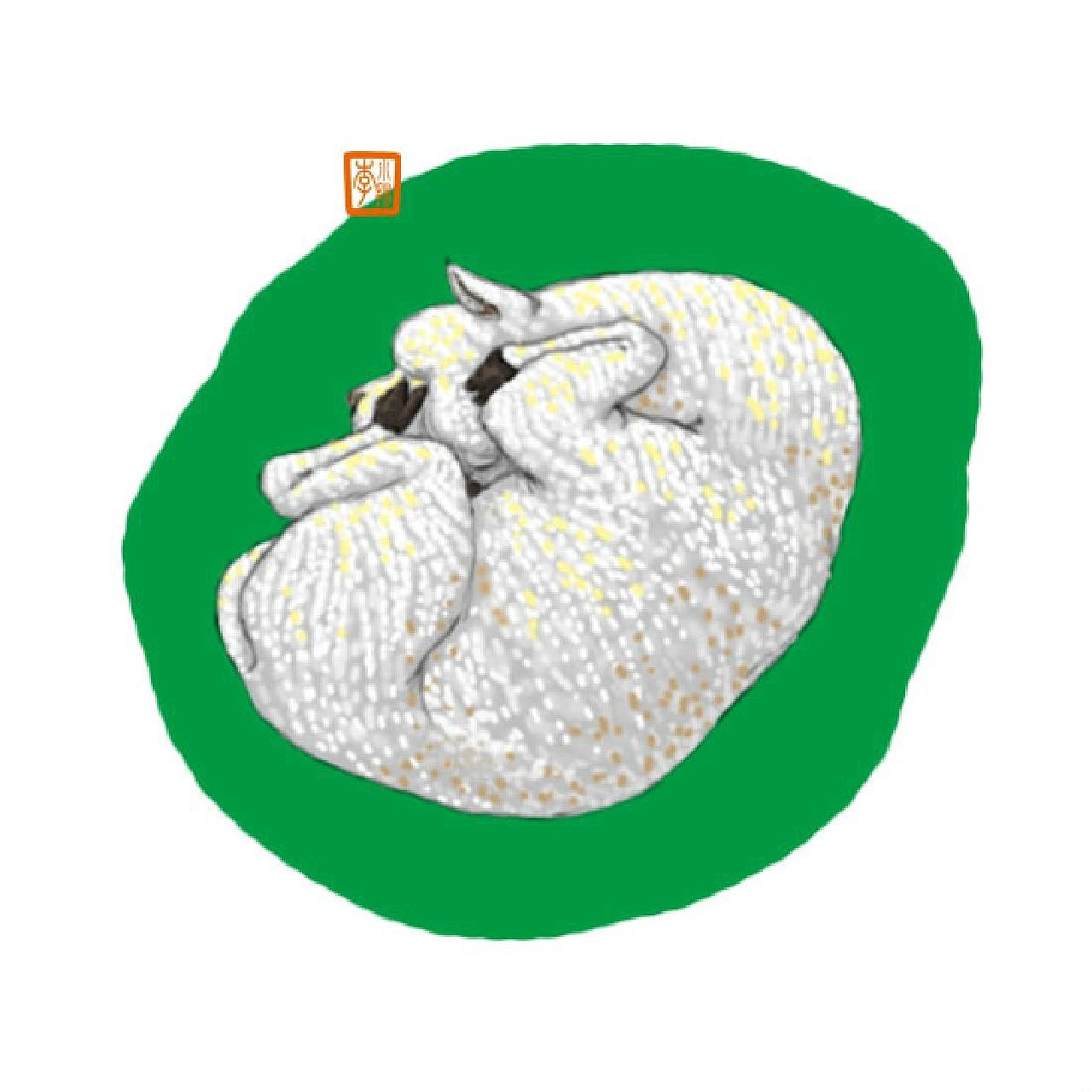 不准偷看,我在睡觉