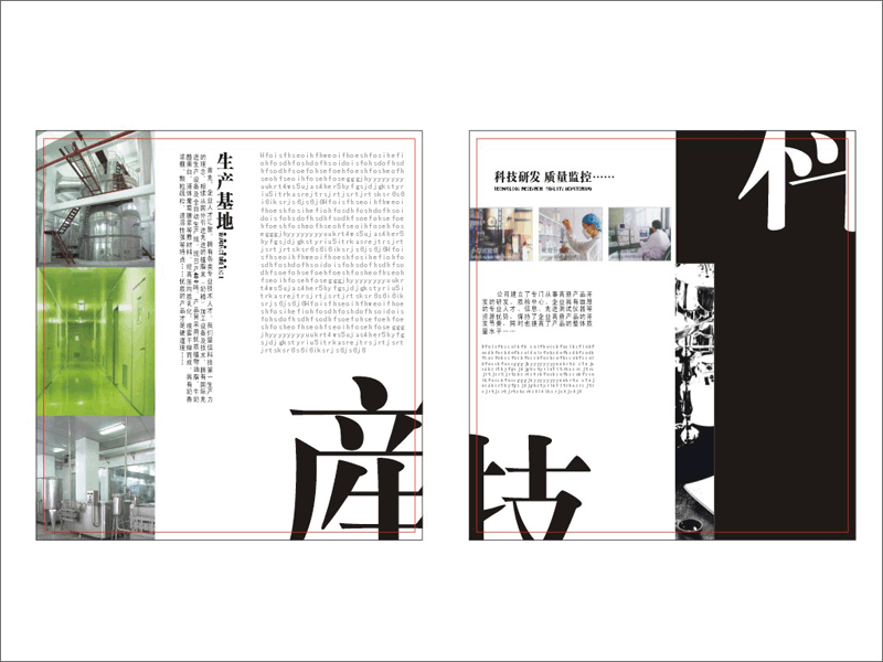 若干杂散的画册及书籍、海报