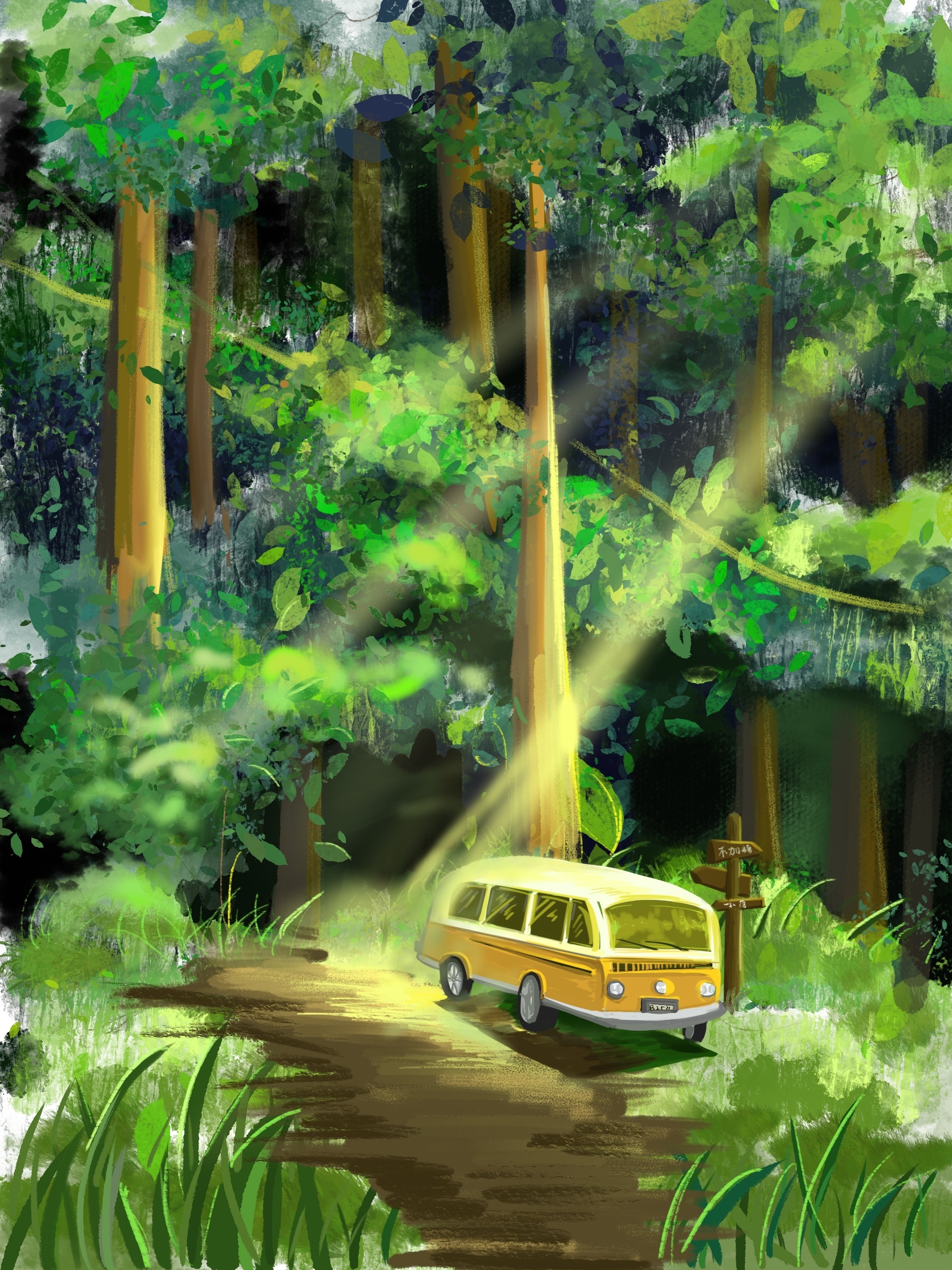 洒满阳光的森林