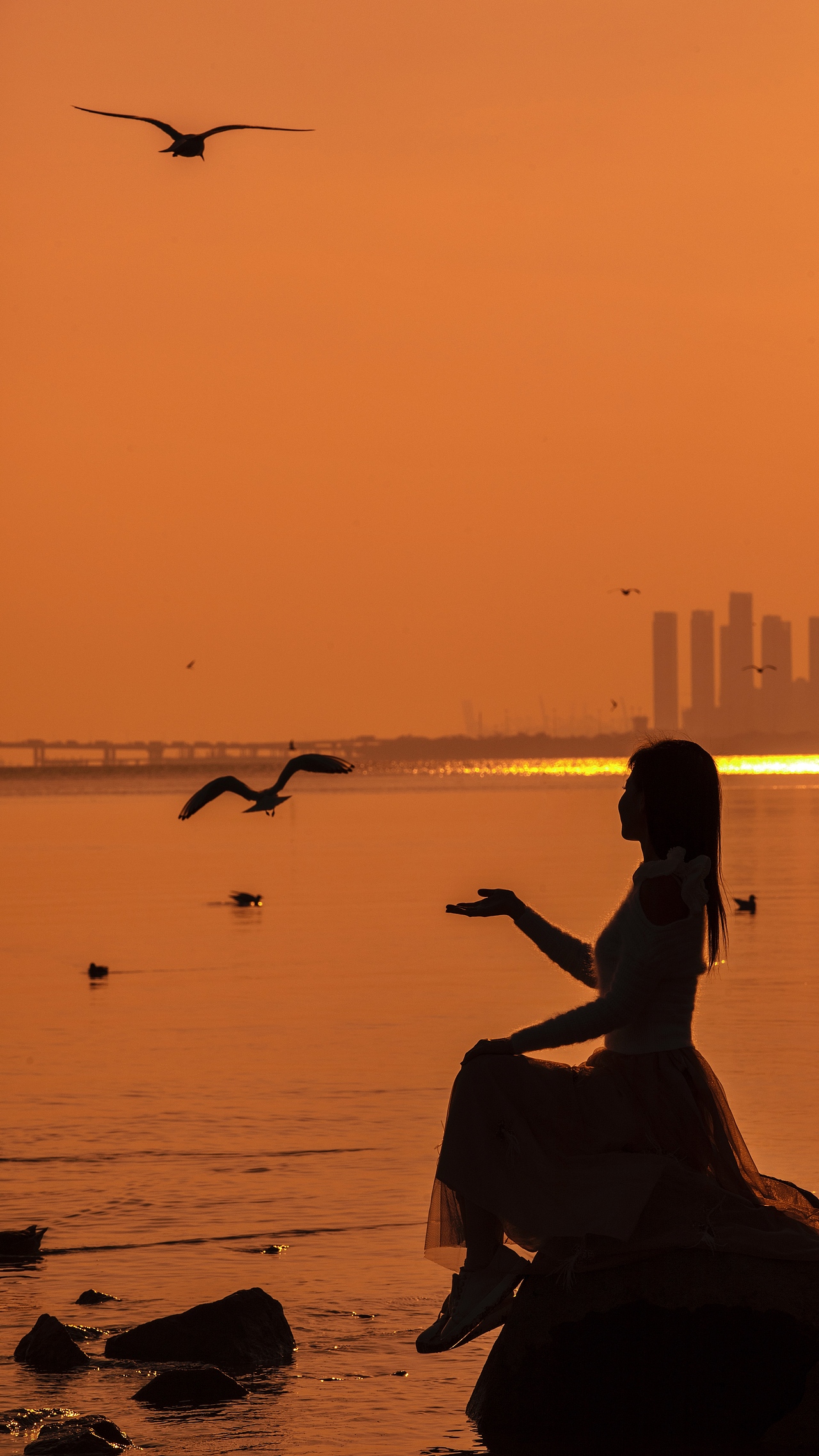 云稀月明霞光人影