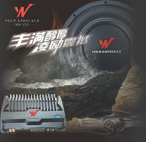 野兽汽车音响大功率功放