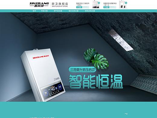 首页，店铺首页，PC首页，手机首页