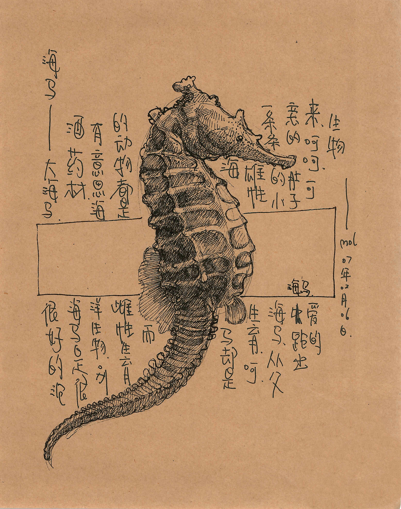 这个关于海鲜的插画手稿（终）（图ZMTM2ODExMDky） - 创作习作 - 站酷设计师daimol原创素材 - 站酷ZCOOL