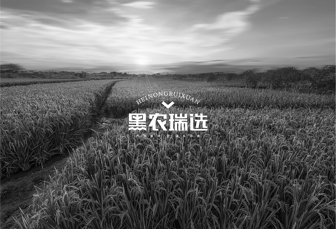 黑农瑞选农产品VI设计,农产品包装设计(图ZMjA3MjYwODI4) - 品牌 - 站酷设计师毒柚包装设计原创素材 - 站酷ZCOOL