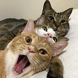 元玉seZen的头像