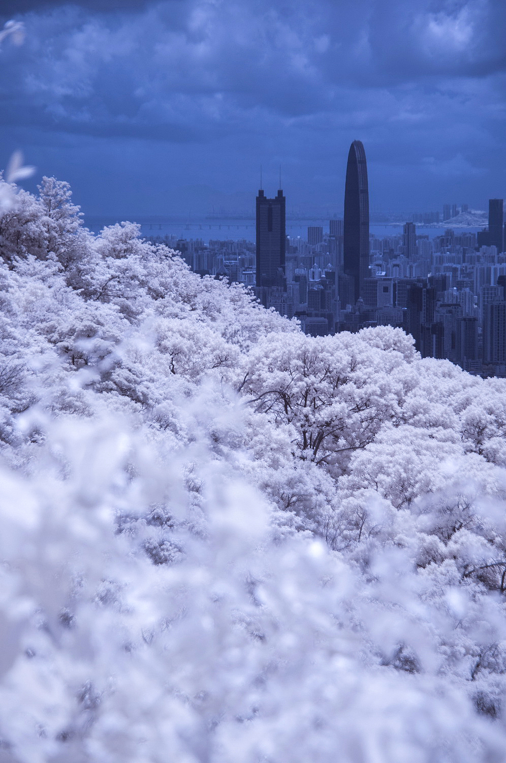 假如深圳下雪了