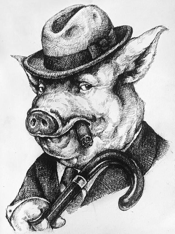 绅士猪系列(原创素描插画)