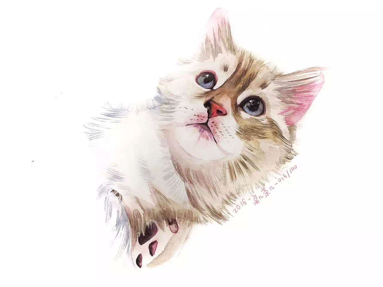 #存图# 没完成的100只猫（图ZMTc0MDM1OTQw） - 创作习作 - 站酷设计师汪野心原创素材 - 站酷ZCOOL