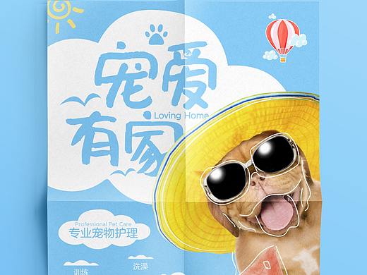 可爱萌宠海报