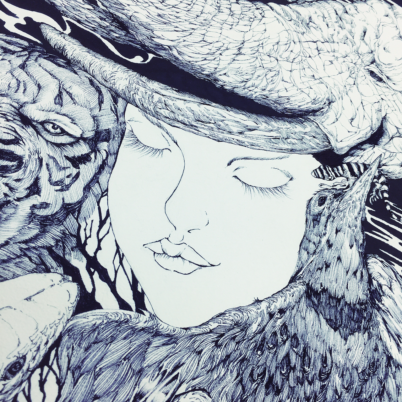 我与煤球共同完成