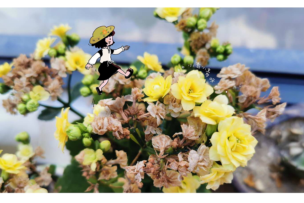 大大的世界小小的我——植物篇（图ZMjAyODU3NTg4） - 艺术插画 - 站酷设计师小青小青呀原创素材 - 站酷ZCOOL