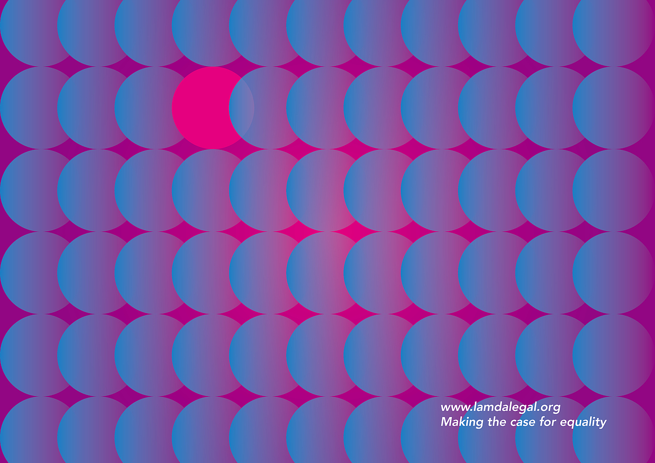 A Vision for the Future Lambda Legal