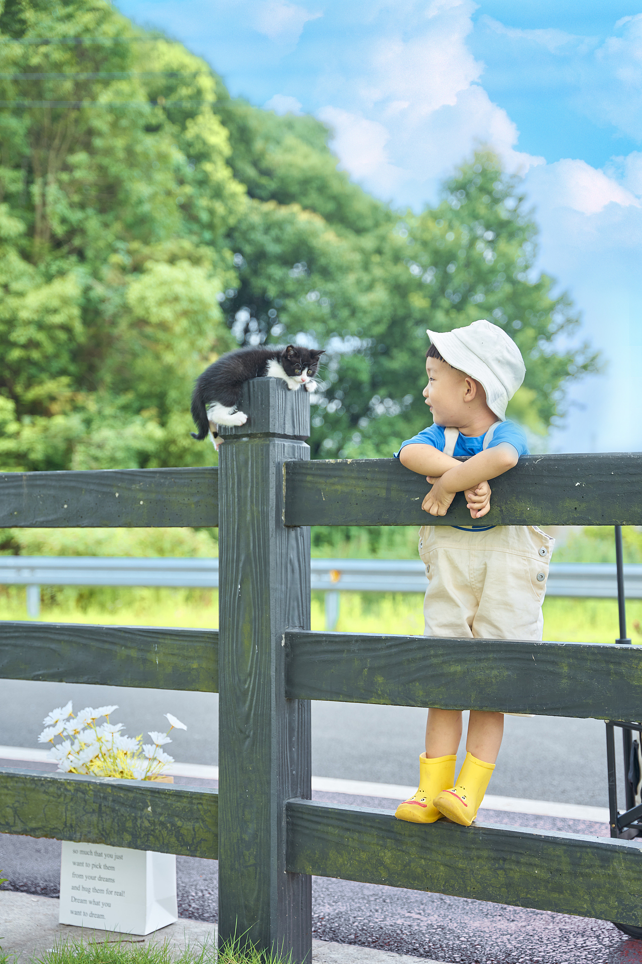一树 一人 一猫