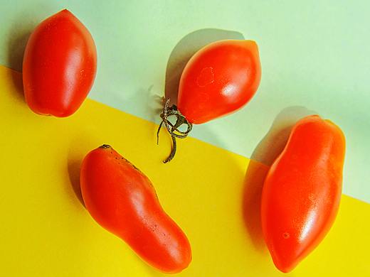 第一次微距攝影 真心愛了（個人主頁-ZNDQ1MDMzMzY=） - 風(fēng)光攝影 - 站酷設(shè)計師心尚善原創(chuàng)素材 - 站酷ZCOOL