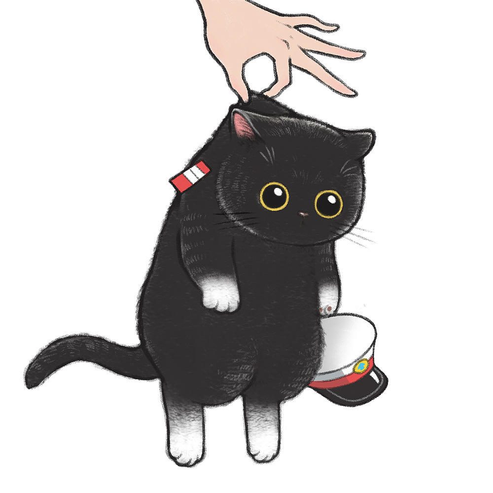 《铲屎官请自重》——拎猫头像表情系列