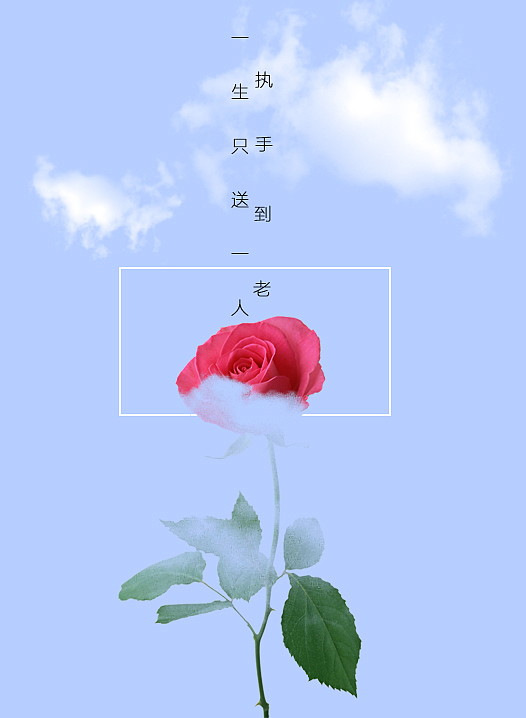 永生花（圖ZMzE5NTU5NTY=） - 電商 - 站酷設(shè)計(jì)師豆花草粿原創(chuàng)素材 - 站酷ZCOOL