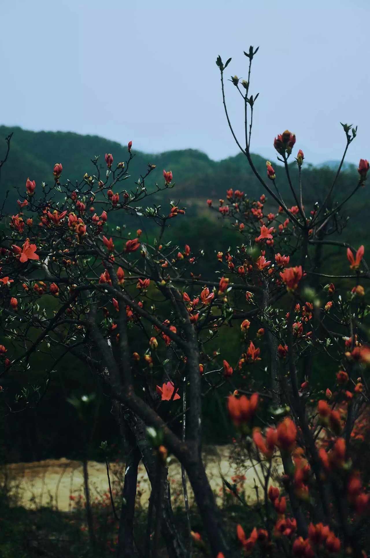 个人p（图ZNDg4OTExMTI=） - 风光摄影 - 站酷设计师爱你的章鱼哥原创素材 - 站酷ZCOOL