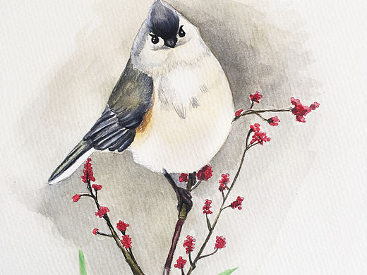 Birds