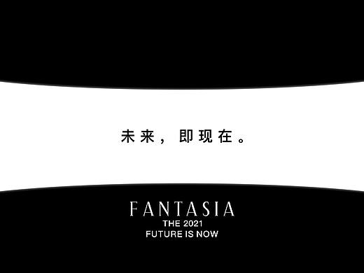 花样年提案飞机稿