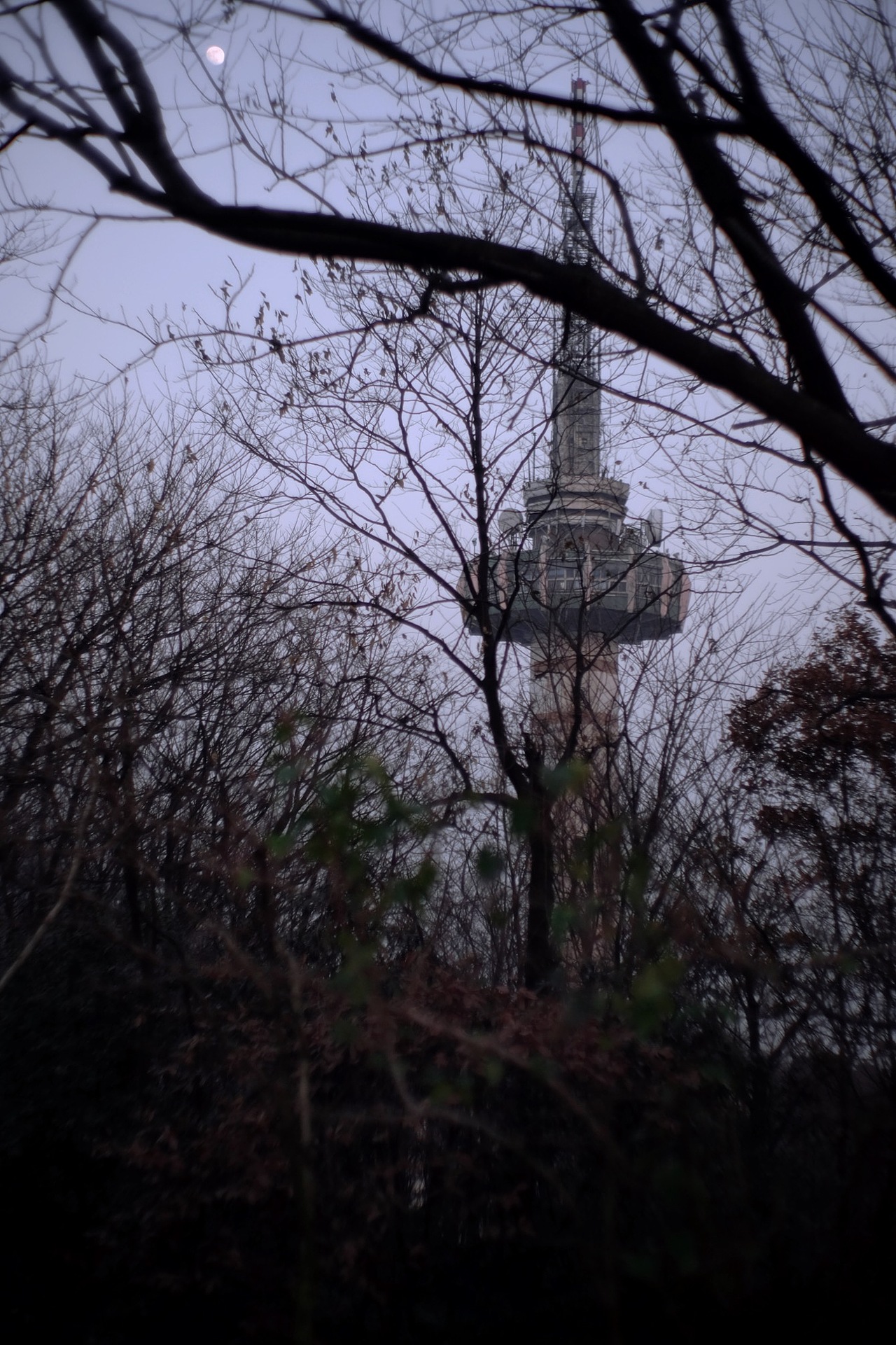 岳麓山——不同的起点上山 有着不同的心情