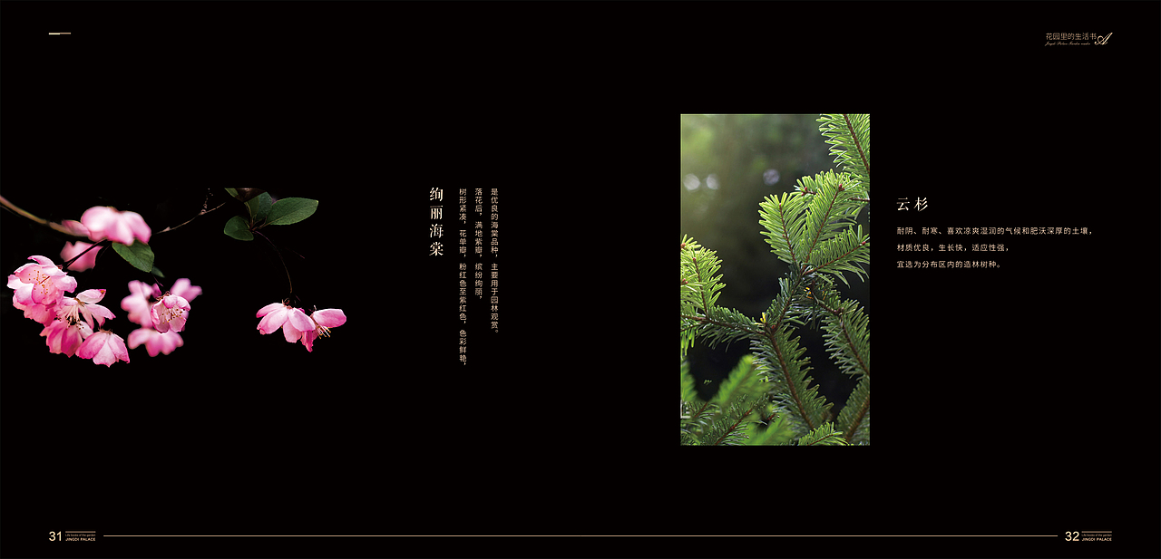 地产景观花园手册