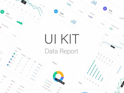 Data Report