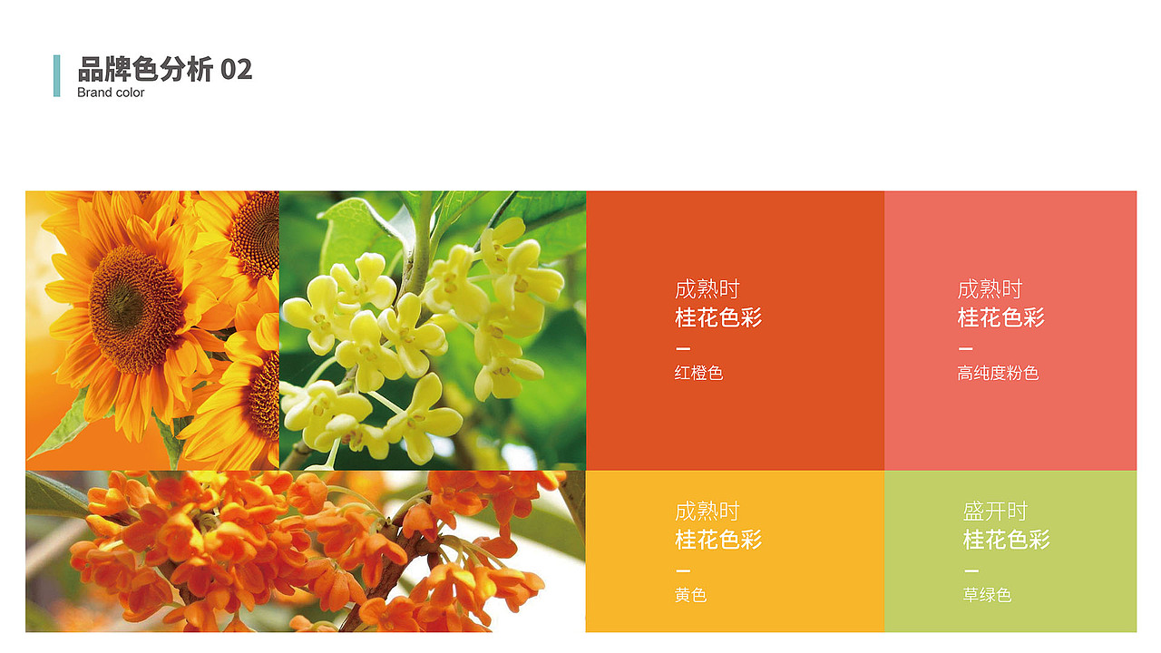 品牌思维训练营-作业练习（图ZMjEwMzQ2OTA0） - 品牌 - 站酷设计师设计lei原创素材 - 站酷ZCOOL