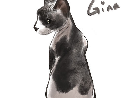 萌物（個人主頁-ZNjc3MDg4MzI=） - 創(chuàng)作習作 - 站酷設(shè)計師lcnoworking原創(chuàng)素材 - 站酷ZCOOL