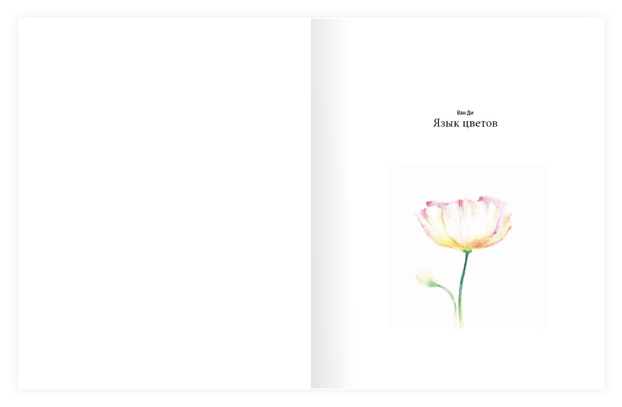 原创书籍排版《花语》