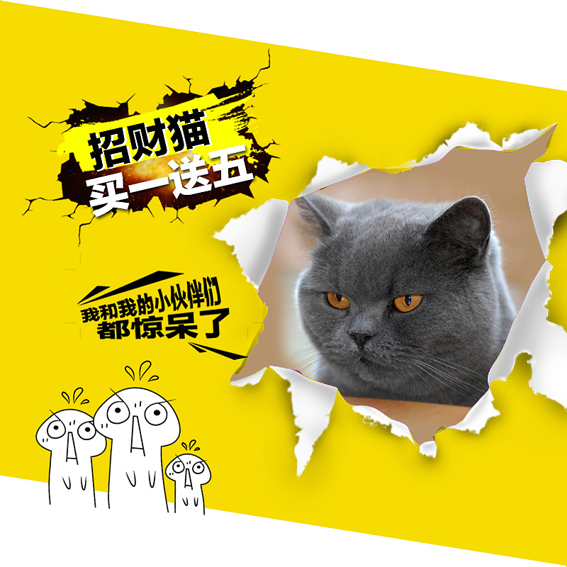 淘宝天猫直通车创意图主图