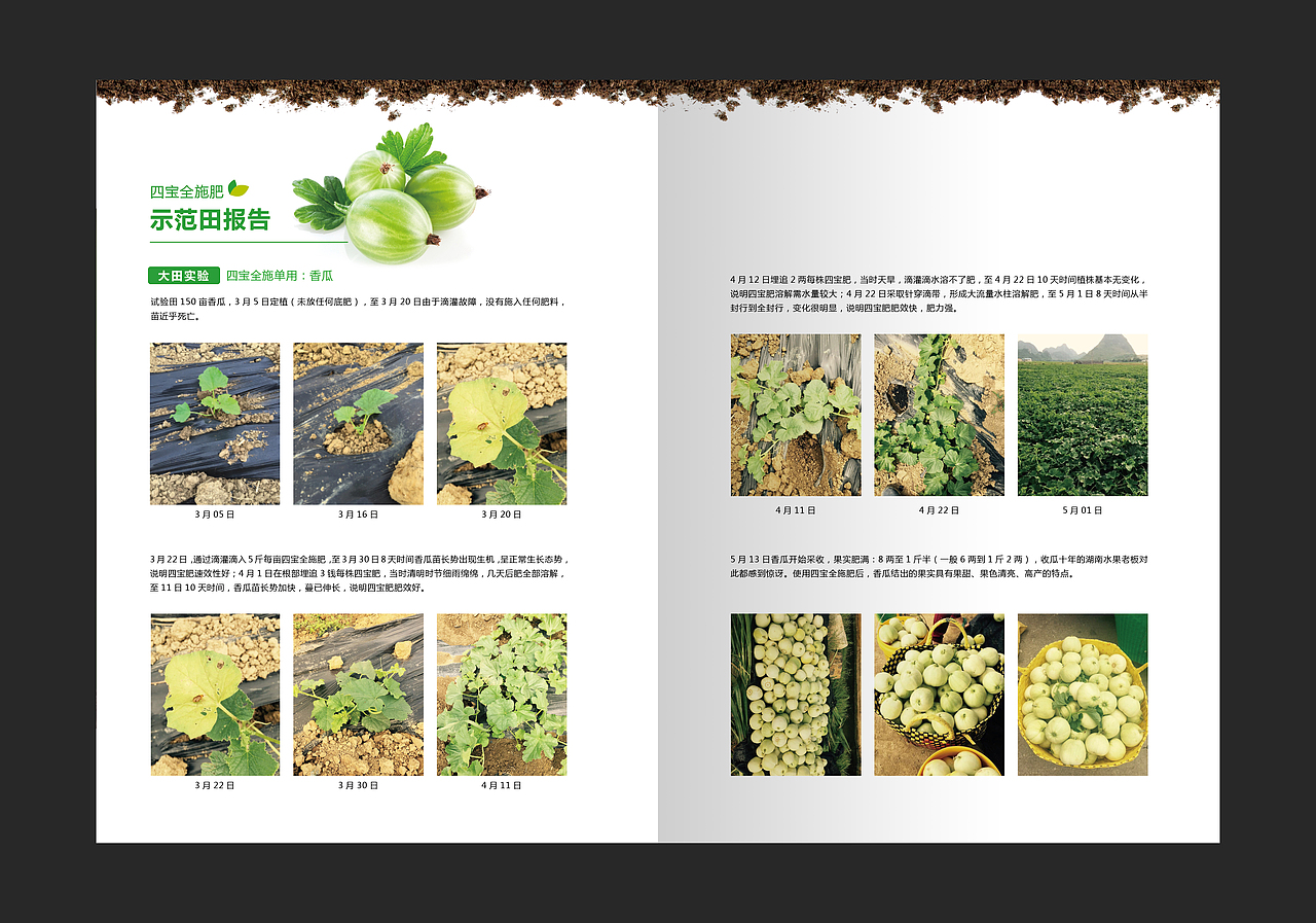 “新育丰”画册 网页设计