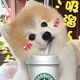 小吱桃桃的头像