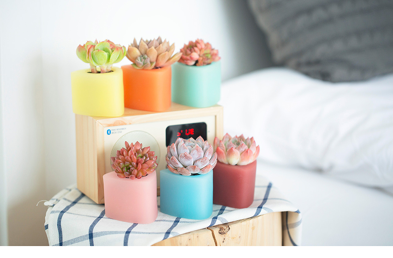 三款INS风家居无土栽培多肉植物-产品摄影（图ZMTMzNTk2NDY4） - 产品摄影 - 站酷设计师Pazza大安原创素材 - 站酷ZCOOL