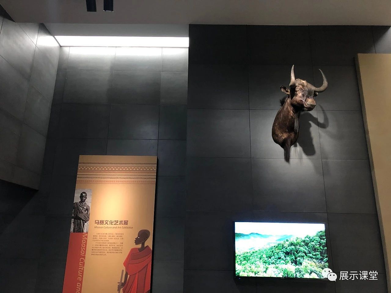 展厅设计/展馆/浙江自然博物院安吉馆（图ZMjg4MzMxODA4） - 展陈设计 - 站酷设计师展示课堂原创素材 - 站酷ZCOOL