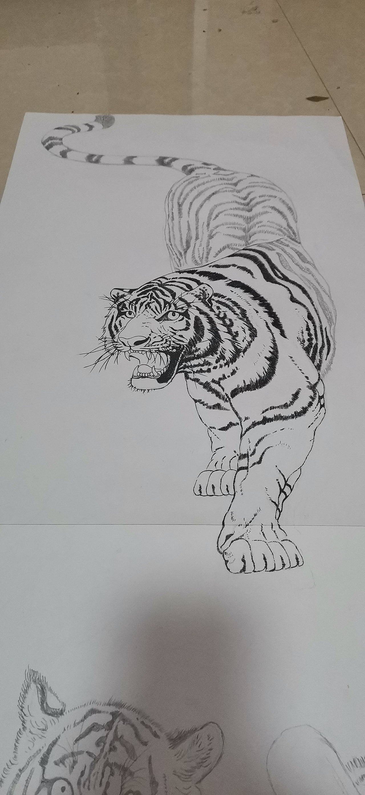 日常白描练习（图ZMTg1MzEzMjAw） - 绘画 - 站酷设计师你微笑时好美tcl原创素材 - 站酷ZCOOL