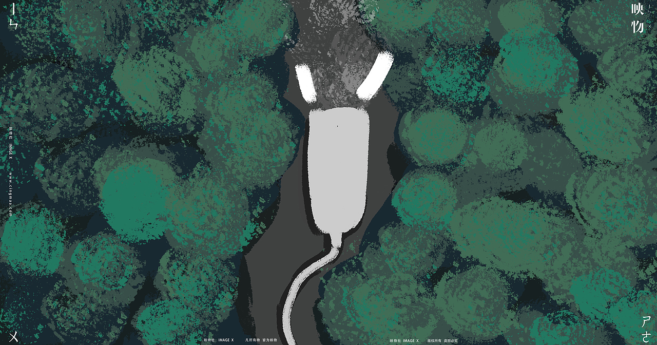 产品创意摄影 | Beautigo x 映物社