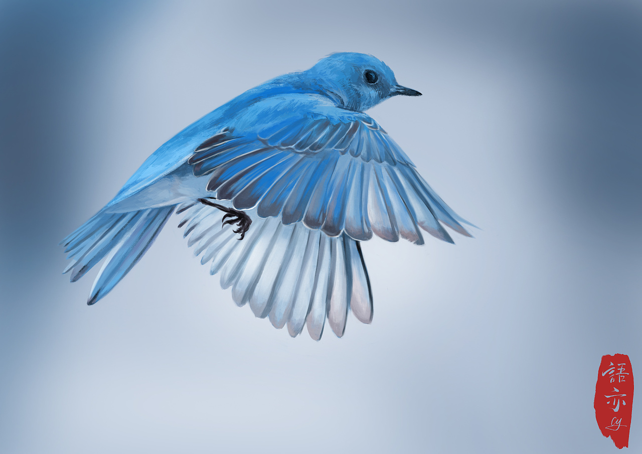 飞鸟|插画|创作习作|语亦_cy - 原创作品 - 站酷 (zcool)