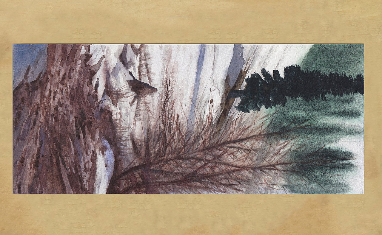 【画本系列】-我的第31本画本-日常习作