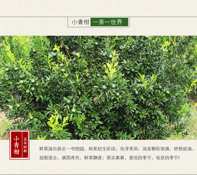 茶（图ZNTY1ODE0NDg=） - 其他 - 站酷设计师东南西北中發白原创素材 - 站酷ZCOOL