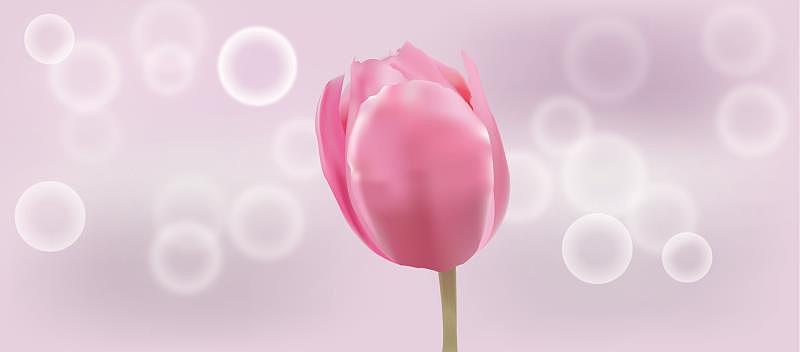 Ai网格工具绘制花朵