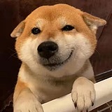 众口难调a的头像