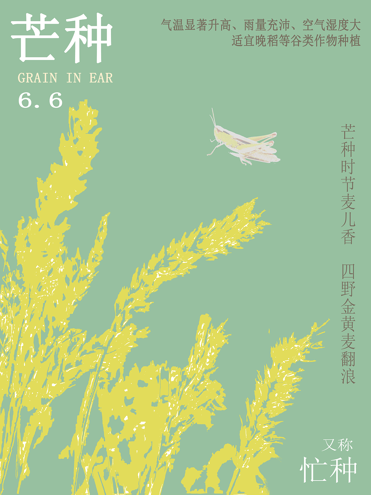 芒种节气海报（图ZMzEwMDE0NDA4） - 海报 - 站酷设计师周末zl原创素材 - 站酷ZCOOL