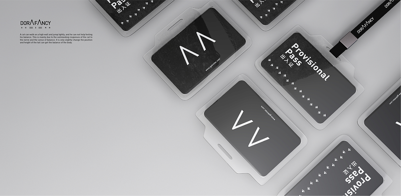 高端潮流女装dorafancy朵拉梵西品牌设计