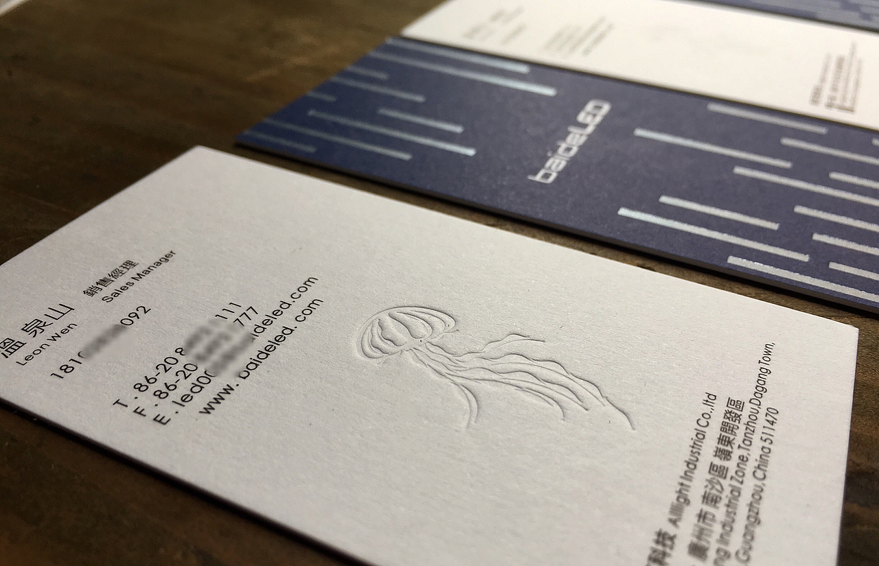 一只水母的卡片