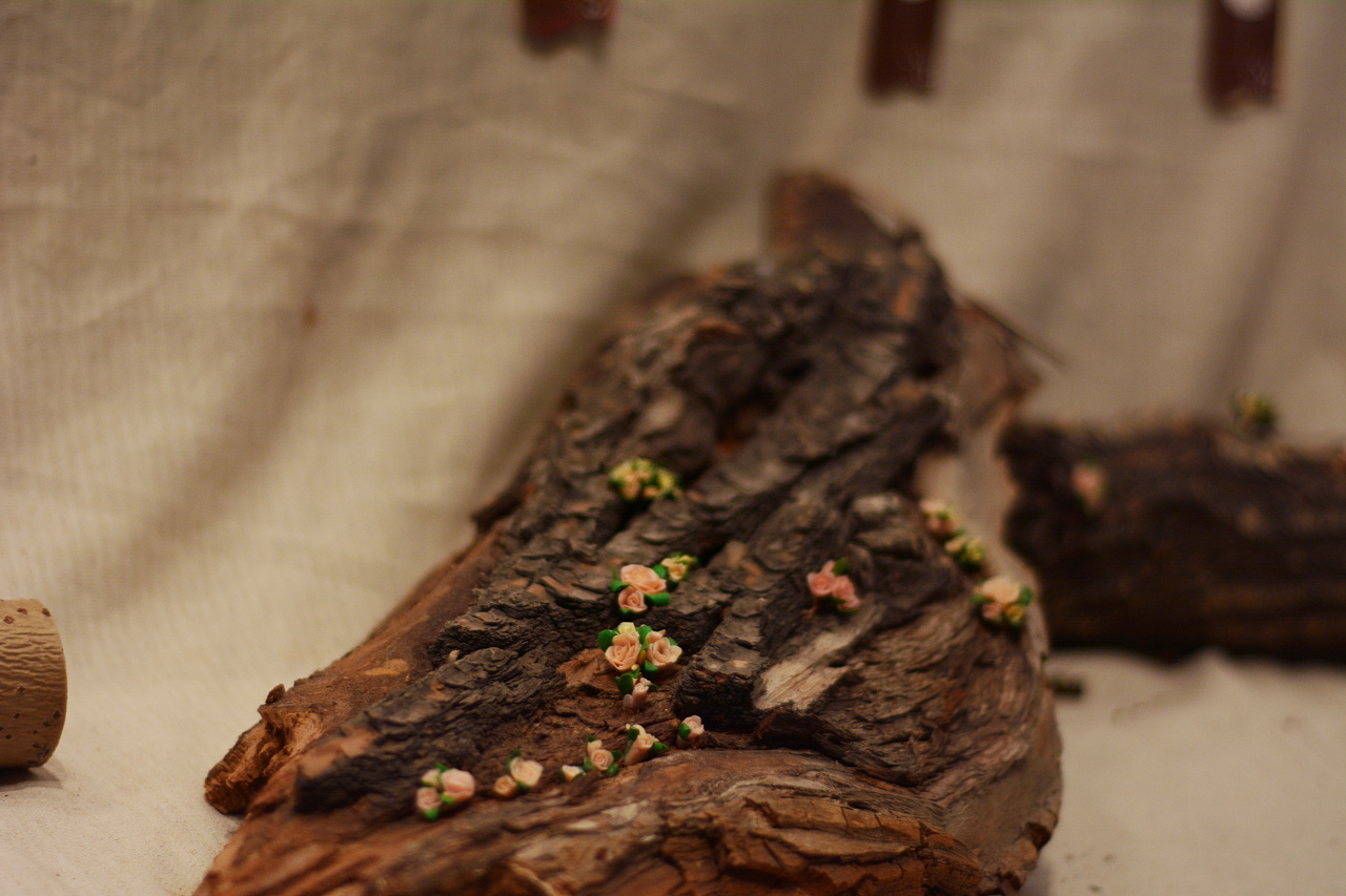 枯木逢春 - 原创作品 - 站酷(zcool)