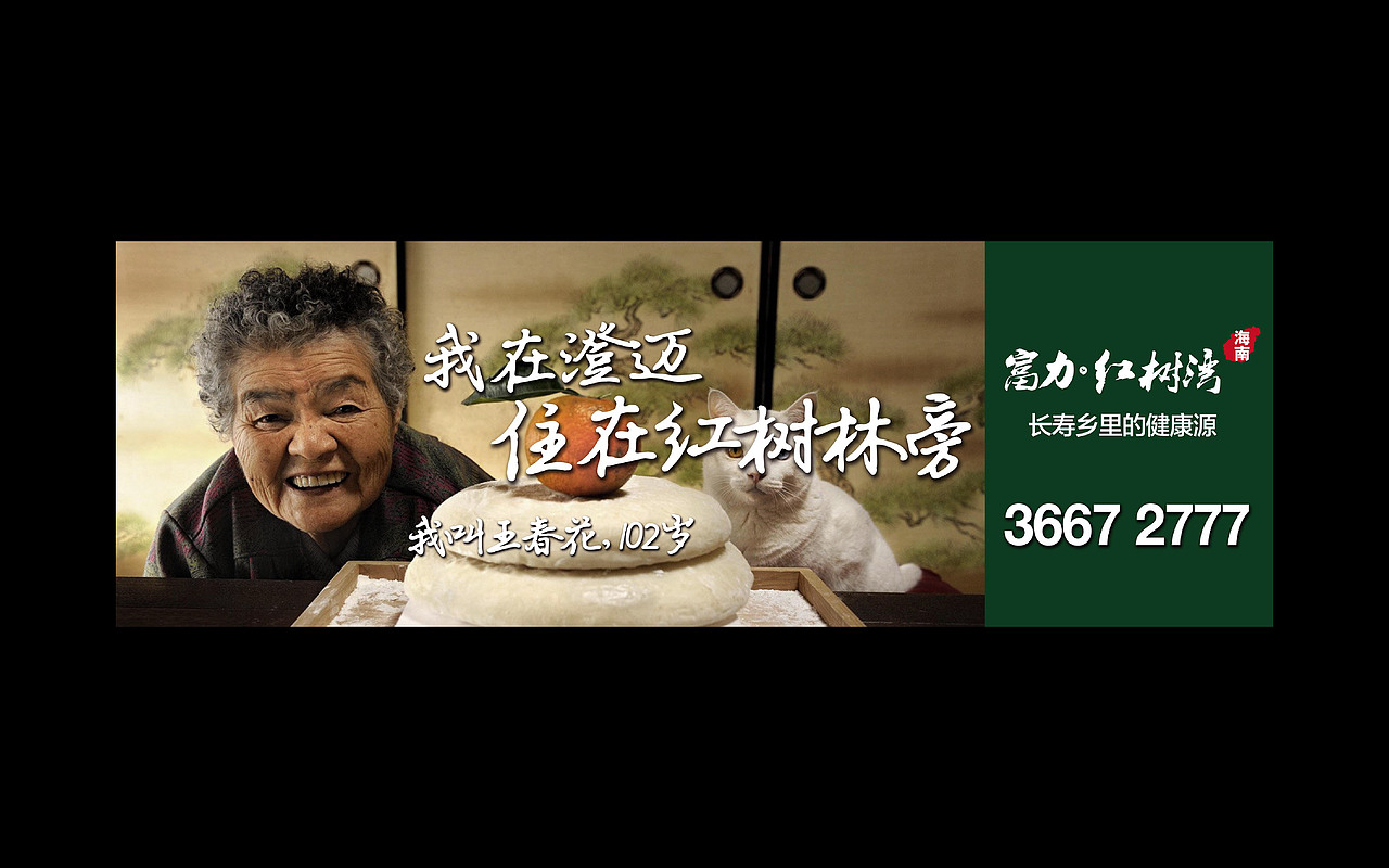 海南富力红树湾视觉