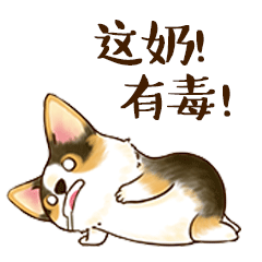 小猪表情