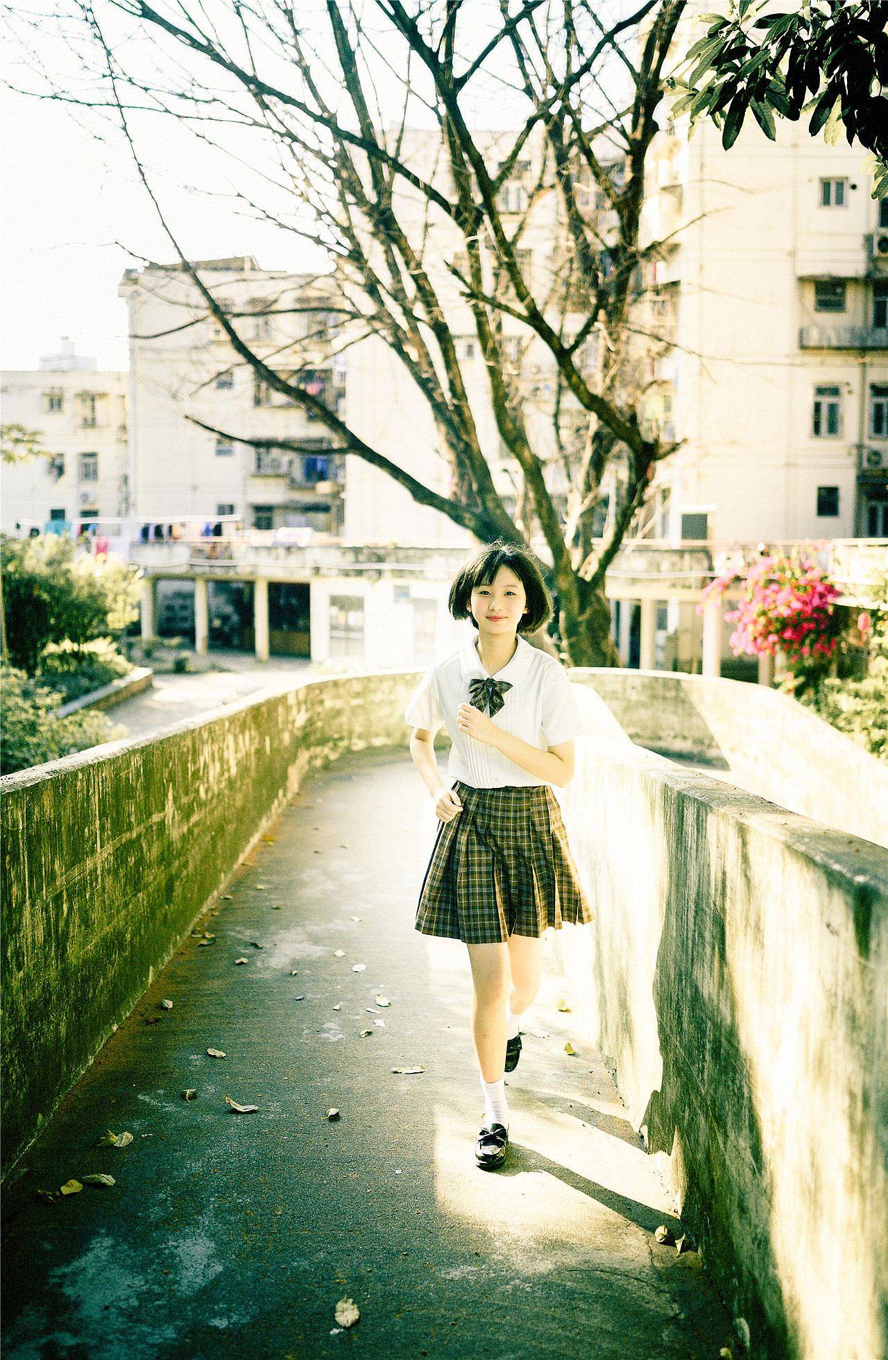 我在人间贩卖日落